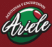 Logo-ariele-aceitunas-y-encurtidos